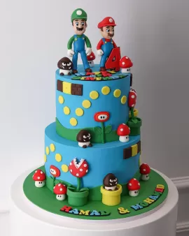 3D  Super Mario Cake 36