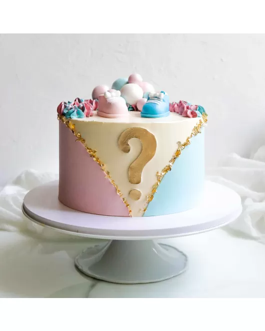 Girl Or Boy Cake 02