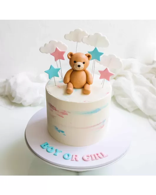 Girl Or Boy Cake