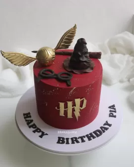 Harry Potter cake 