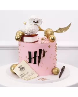 Harry Potter Pink Cake