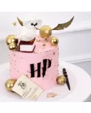 Harry Potter Pink Cake