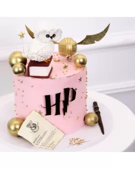 Harry Potter Pink Cake