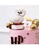 Harry Potter Pink Cake