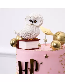Harry Potter Pink Cake