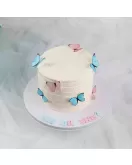 Birthday cake 09