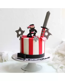 Ninja kids cake
