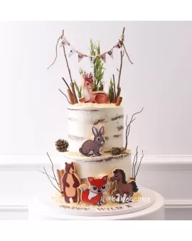 Animals kids cake