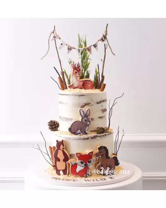 Animals kids cake