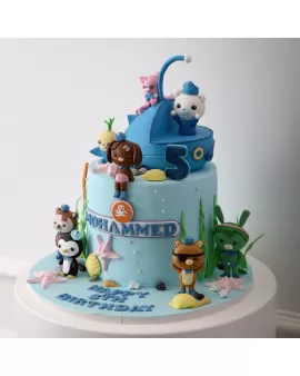 octonauts kids cake