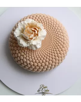 bubbles mousse cake