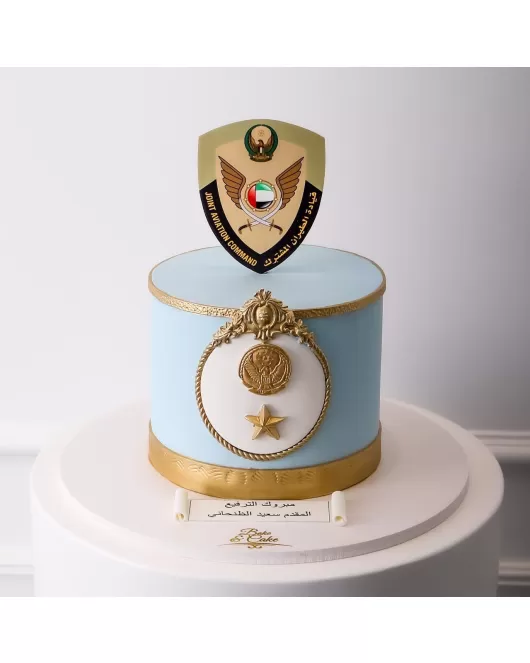 aviation command cake